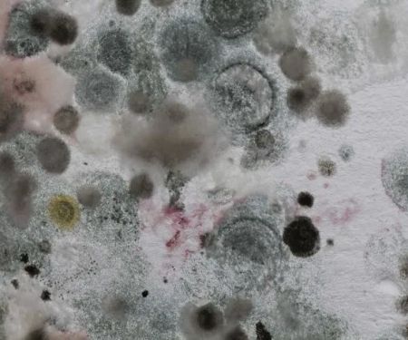 ITS Environmental Services, Inc.