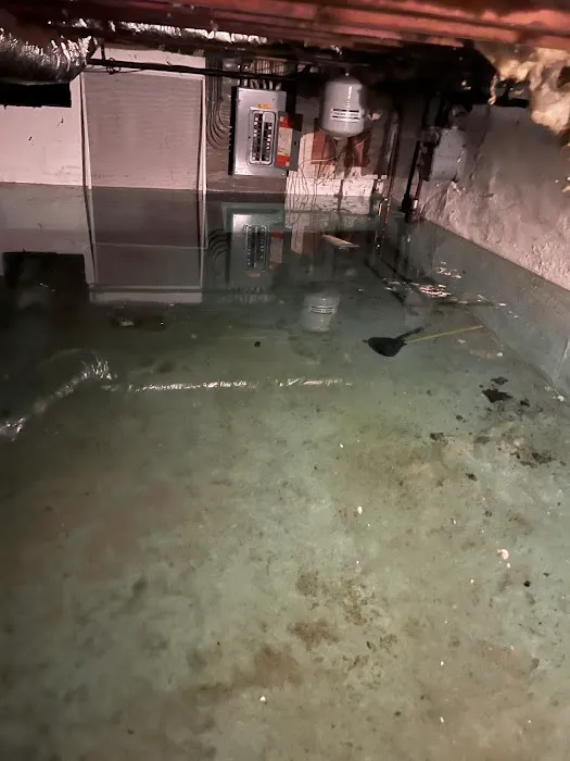 Mid Suffolk Flood & Restoration Picture 8