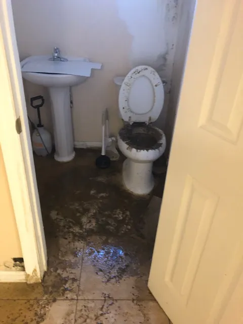 Flood Response of long island Picture 3