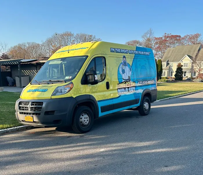 Long Island Mold Guy Picture 2