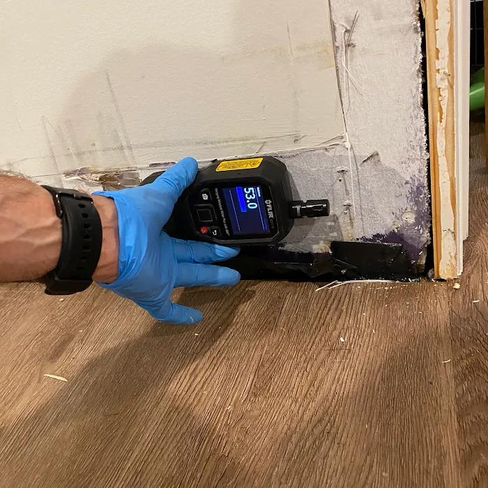 Long Island Mold Guy Picture 5