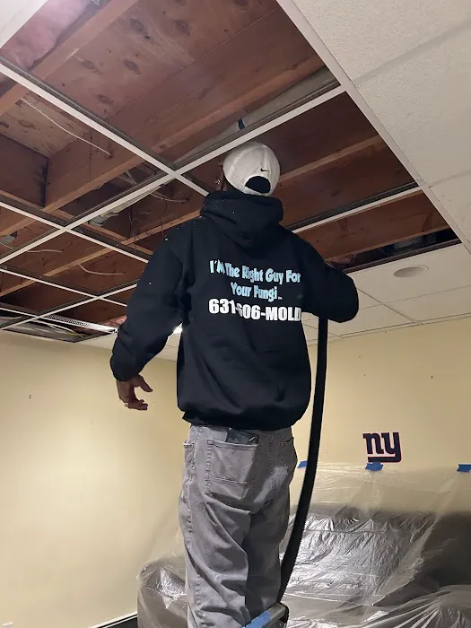 Long Island Mold Guy Picture 1