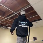 Long Island Mold Guy