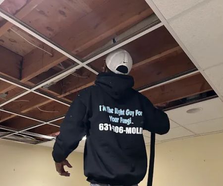 Long Island Mold Guy