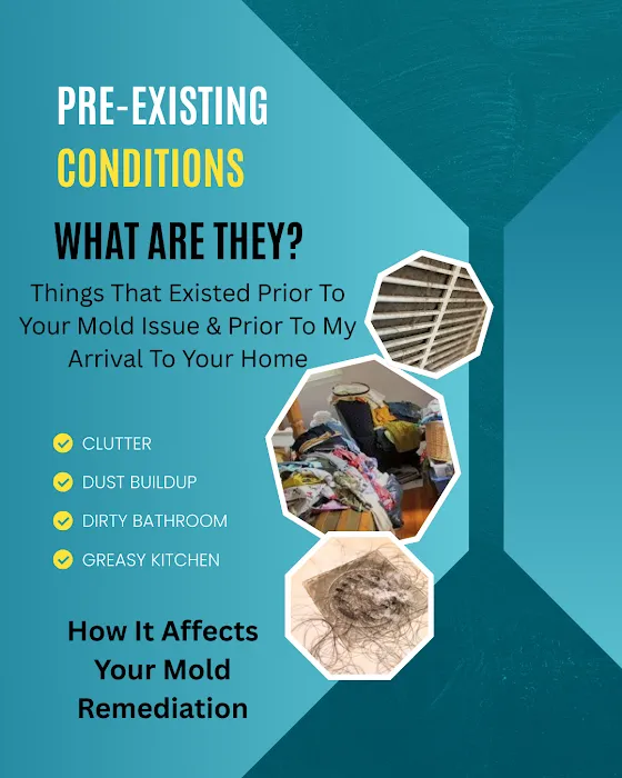 Long Island Mold Guy Picture 3