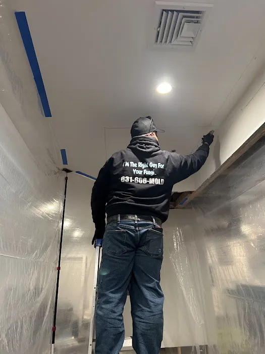 Long Island Mold Guy Picture 9