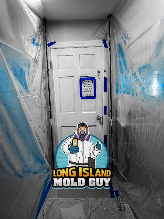 Long Island Mold Guy Picture 8