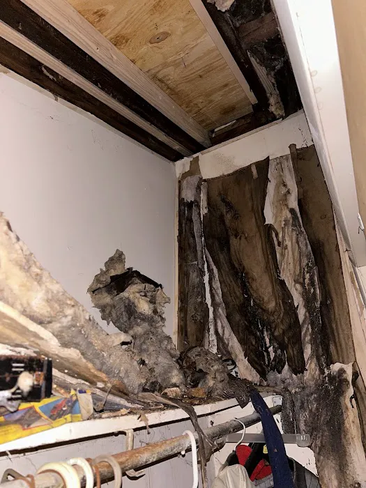 Long Island Mold Guy Picture 10