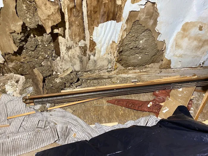 Clean Slate Picture 9