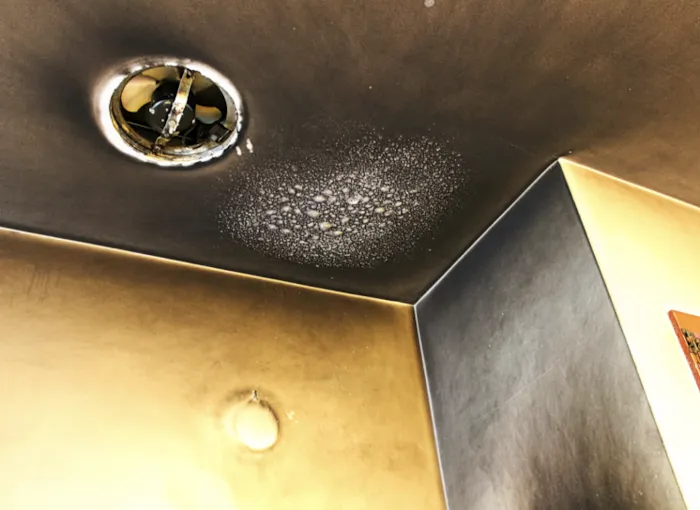 G-Tech Restoration Inc. Picture 8