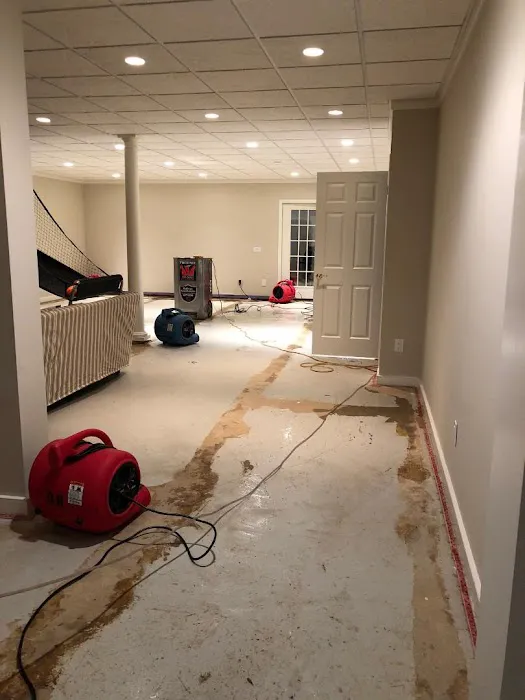 Bulovas Restorations Picture 4