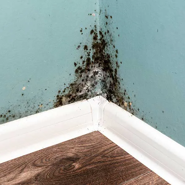 Jet Restoration Service Picture 1