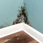 Jet Restoration Service