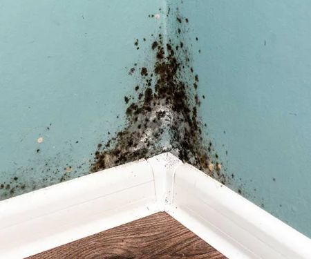 Jet Restoration Service