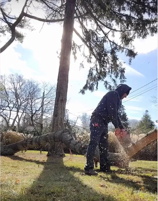 All Island Restoration Picture 2