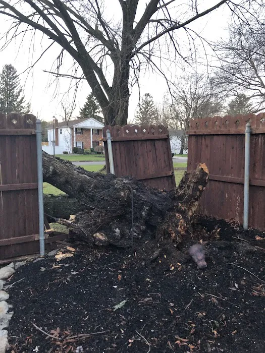 All Island Restoration Picture 4