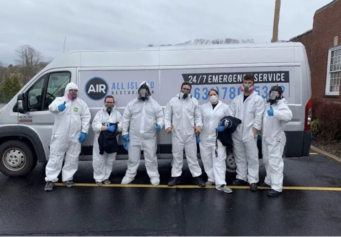 All Island Restoration Picture 6