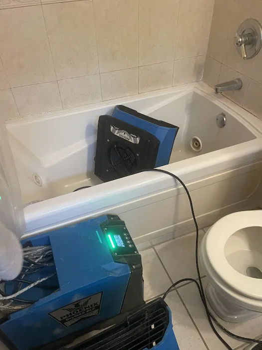 American Eagle Restoration Picture 9