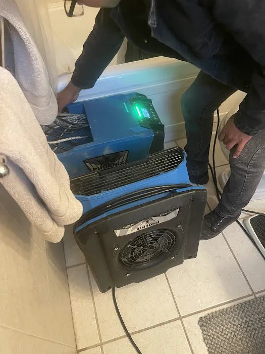 American Eagle Restoration Picture 6