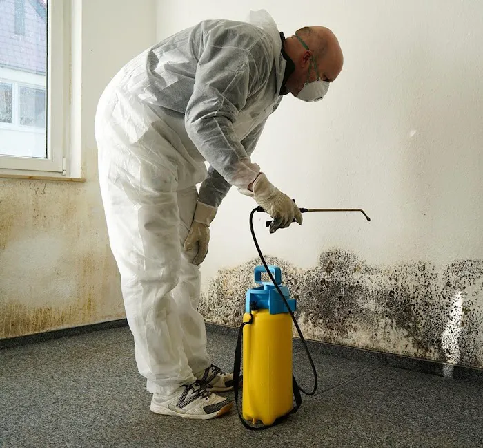 American Eagle Restoration Picture 1