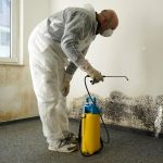 American Eagle Restoration