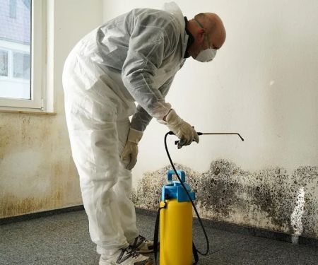 American Eagle Restoration