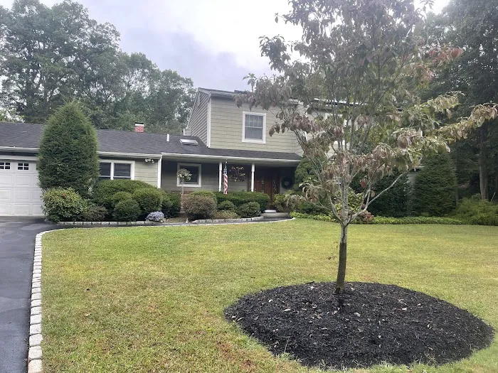 American Eagle Restoration Picture 10