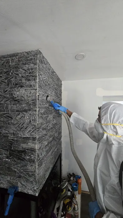 American Eagle Restoration Picture 2