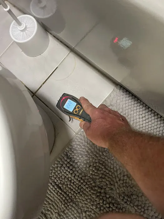 American Eagle Restoration Picture 8