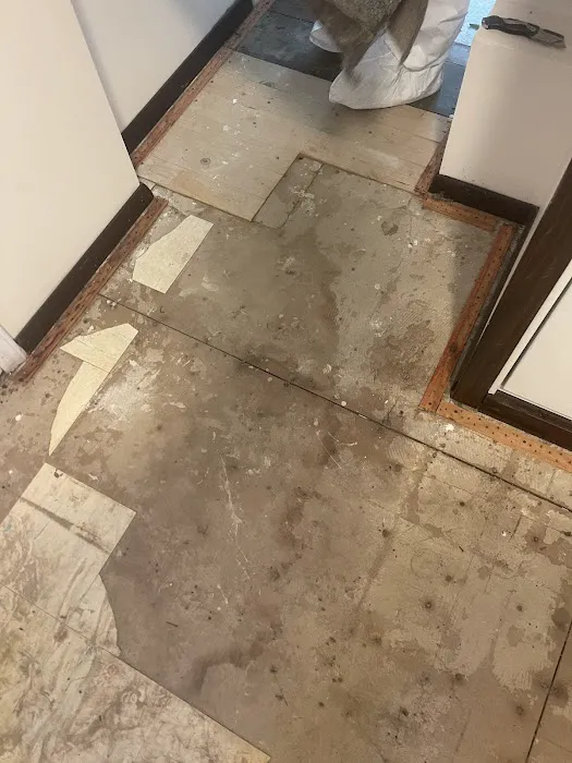 American Eagle Restoration Picture 3