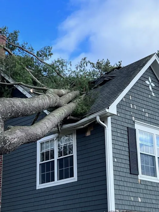 Initial Response Restoration Picture 4