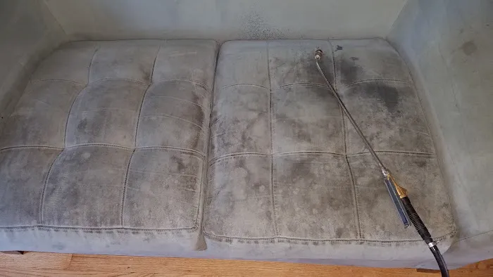 Jennings All Spruced Up Picture 6