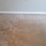 Jennings All Spruced Up