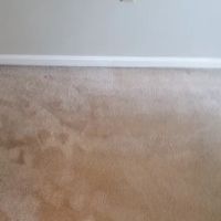 Jennings All Spruced Up ico