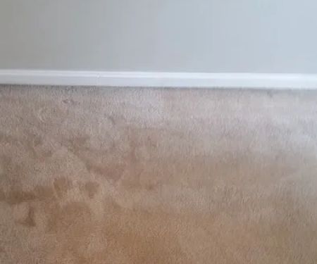 Jennings All Spruced Up