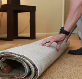 Jennings All Spruced Up Picture 5