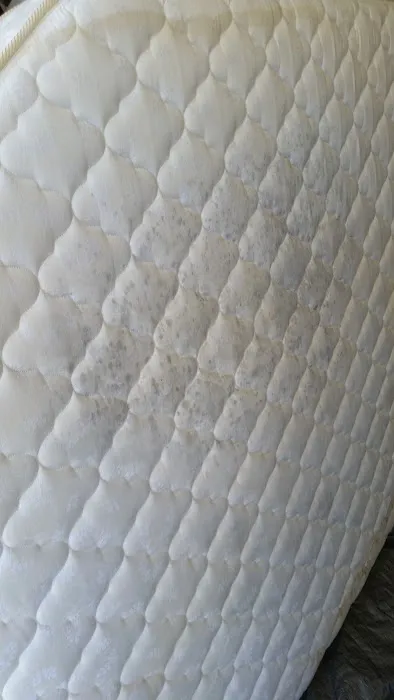 Jennings All Spruced Up Picture 8