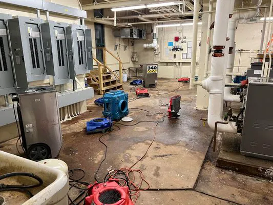 Clean Care of New England Picture 2