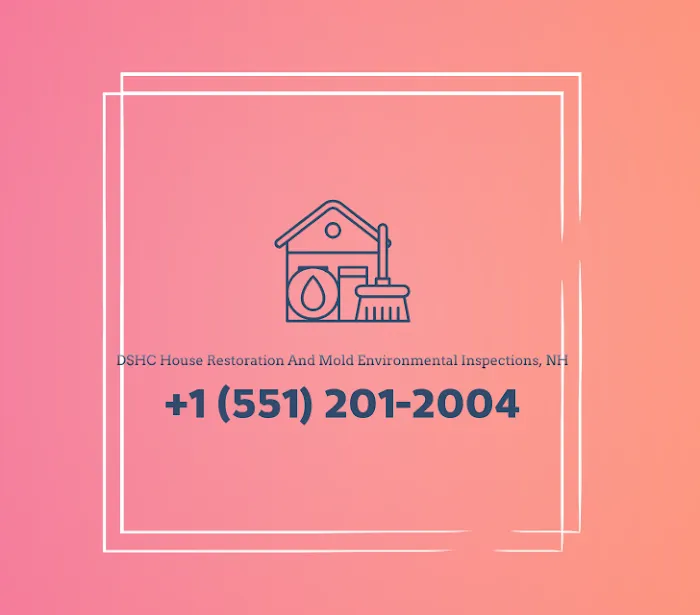 DSHC House Restoration And Mold Environmental Inspections, NH Picture 1