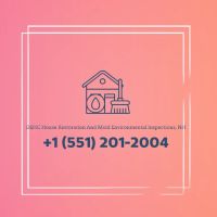 DSHC House Restoration And Mold Environmental Inspections, NH ico