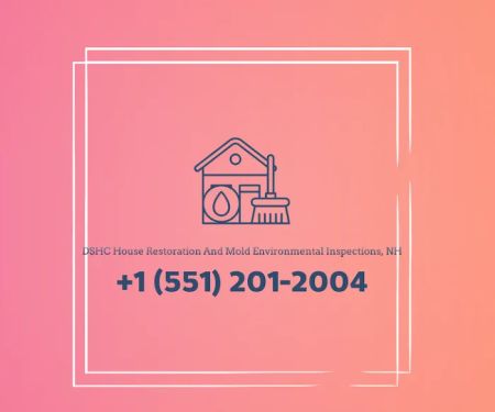 DSHC House Restoration And Mold Environmental Inspections, NH