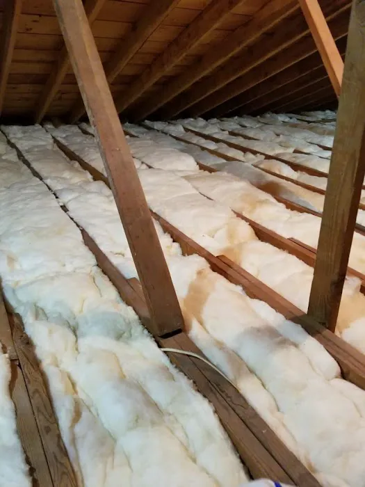 D and R Environmental Picture 3