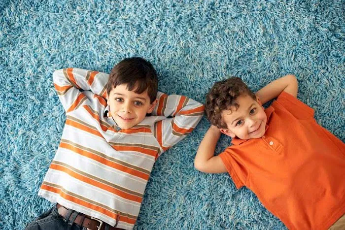 Chem-Dry of Four Seasons Picture 9