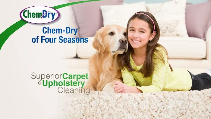 Chem-Dry of Four Seasons Picture 8