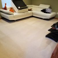 PRO EXPERT SERVICES INC ico