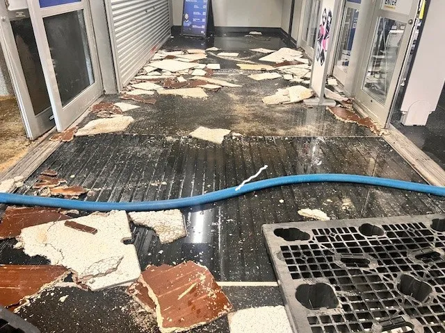 Carpet Revolution CORP Picture 6