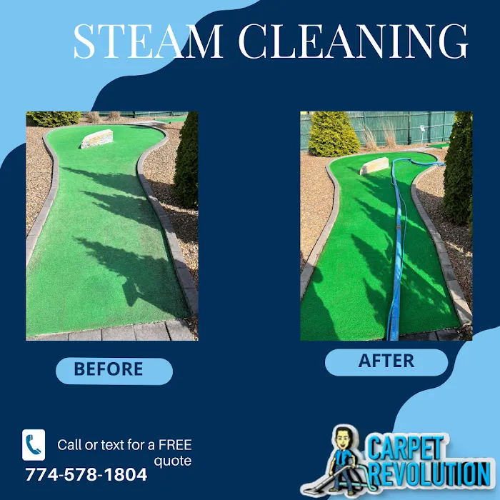 Carpet Revolution CORP Picture 4