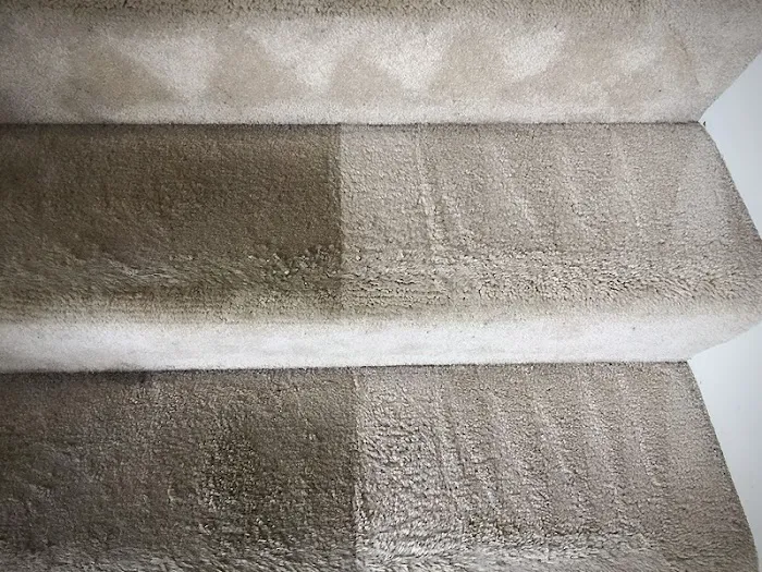 Carpet Revolution CORP Picture 10