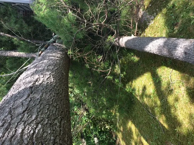 CSNH - Construction Services of NH Picture 9