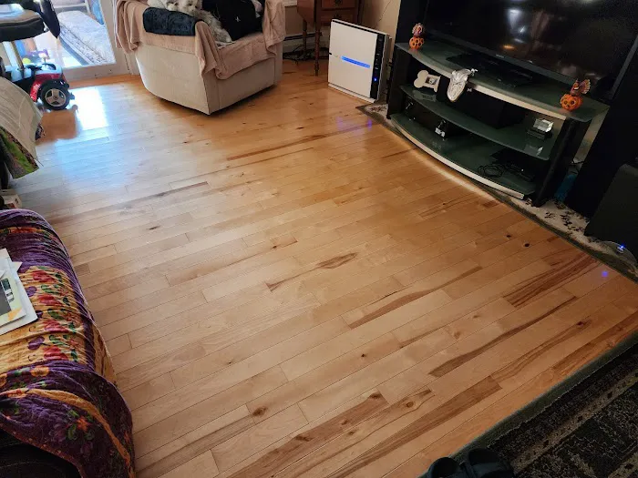 Stanley Steemer Picture 9